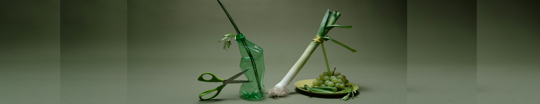 eine Lauchstange, Weintrauben und Getreide zusammen mit einer Plastikflasche, an die eine Schere ansetzt, symbolisieren Kreislauf und Ressourcennutzung durch Upcycling