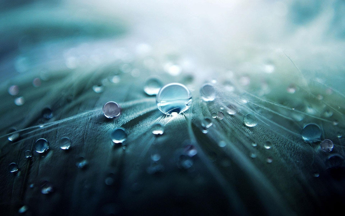 Hydrolate sind wässrige Pflanzenauszüge und eignen sich sehr gut für die Tonisierung der Haut