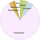 Tortendiagramm zum Fettsäurespektrum von Punicinsäure, einem wertvollen Bestandteil des Granatapfelkernöls